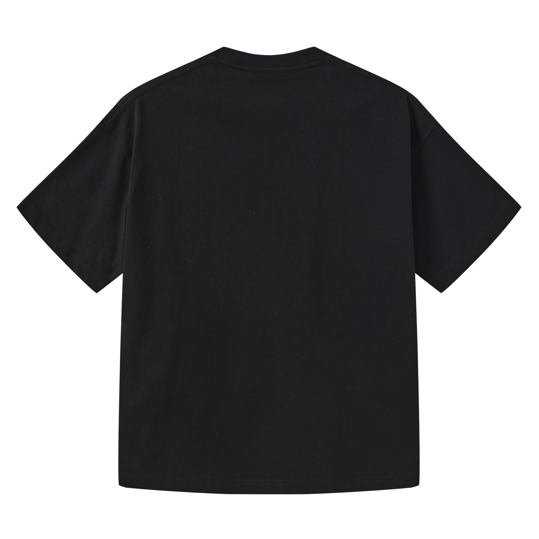Dog Walking Patched Short-Sleeve T-shirt x Hannah Van Der Weide- Black