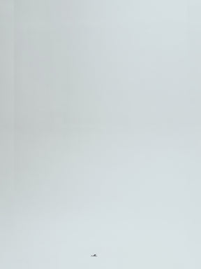 Appliqué Boxy Short Jacket Grey